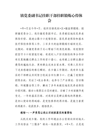 镇党委副书记挂职干部挂职锻炼心得体会