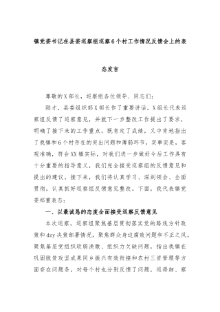 镇党委书记在县委巡察组巡察6个村工作情况反馈会上的表态发言