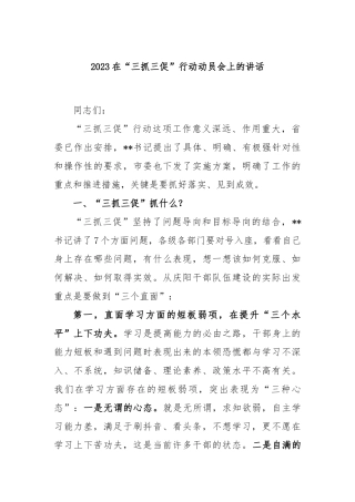 2023在“三抓三促”行动动员会上的讲话