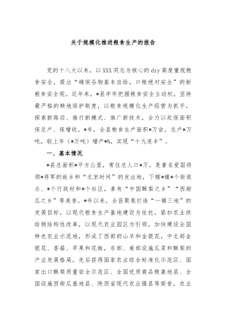 规模化推进粮食生产的报告