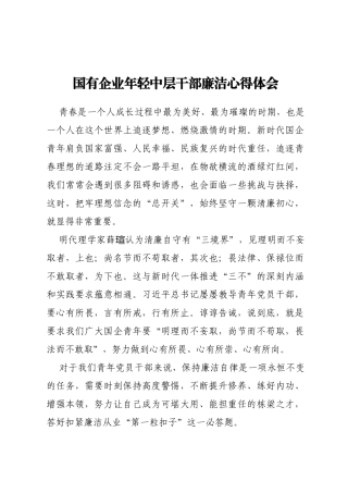 国有企业年轻中层干部廉洁心得体会