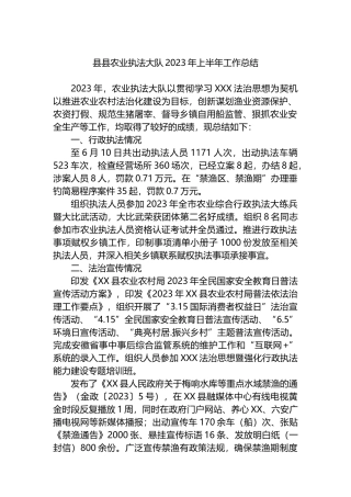 县县农业执法大队2023年上半年工作总结