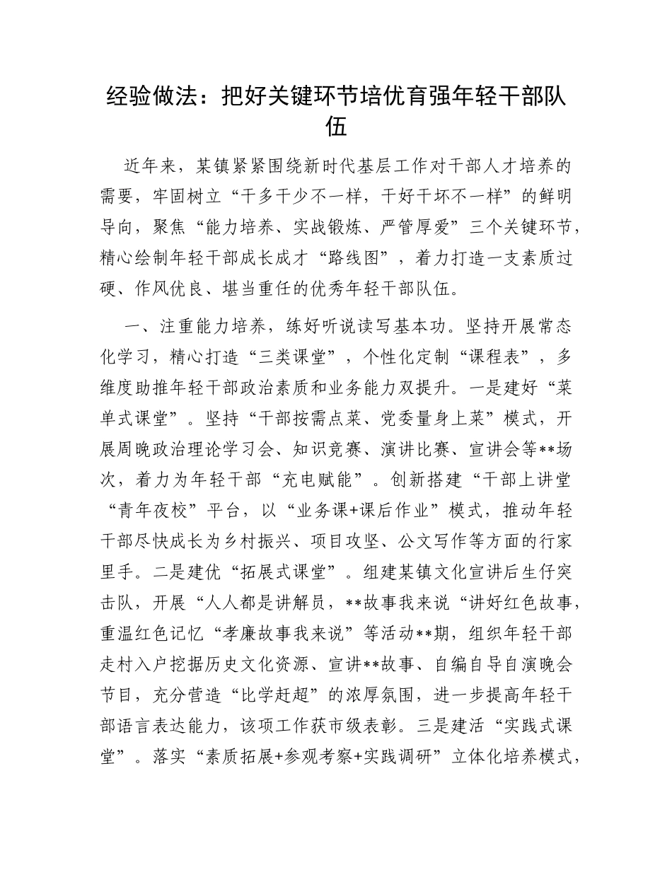 经验做法：把好关键环节培优育强年轻干部队伍_第1页