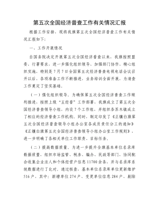 第五次全国经济普查工作有关情况汇报