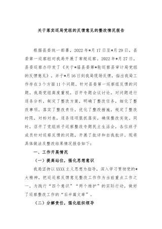 落实巡局党组的反馈意见的整改情况报告