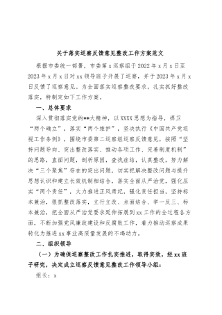 巡察反馈意见整改工作实施方案问题