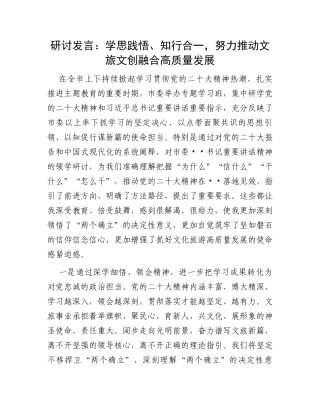 研讨发言：学思践悟、知行合一，努力推动文旅文创融合高质量发展