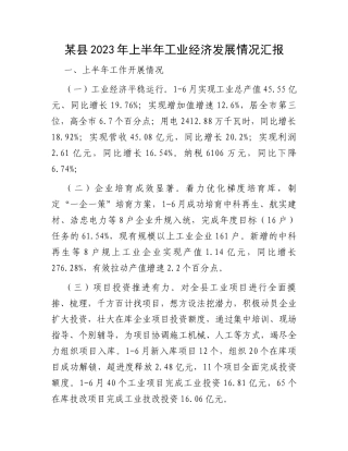 某县2023年上半年工业经济发展情况汇报