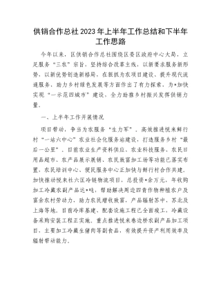 供销合作总社2023年上半年工作总结和下半年工作思路