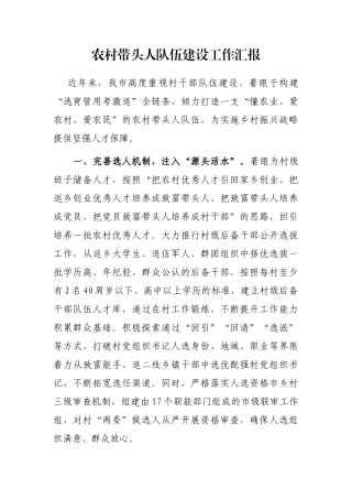 农村带头人队伍建设工作汇报