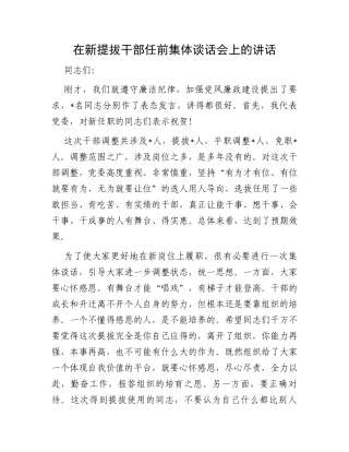 在新提拔干部任前集体谈话会上的讲话