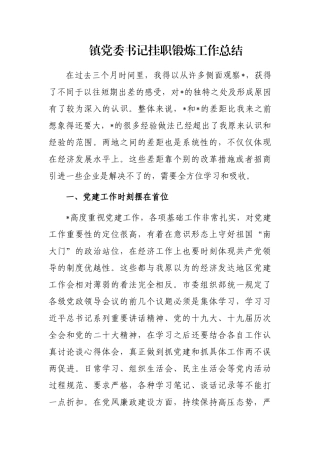 镇党委书记挂职锻炼工作总结