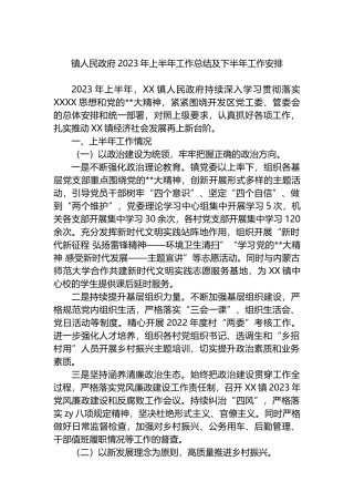 镇人民政府2023年上半年工作总结及下半年工作安排（计划）