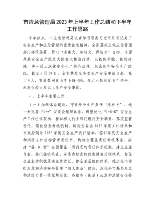 市应急管理局2023年上半年工作总结和下半年工作思路