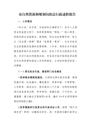 市自然资源和规划局依法行政述职报告