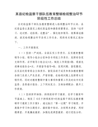 某县纪检监察干部队伍教育整顿检视整治环节阶段性工作总结