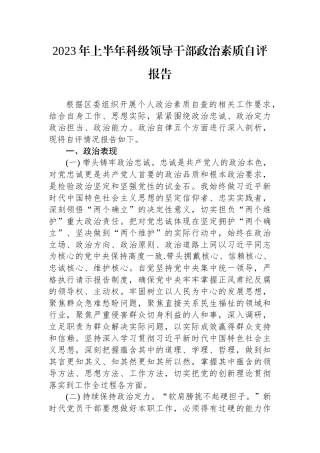 2023年上半年科级领导干部政治素质自评报告