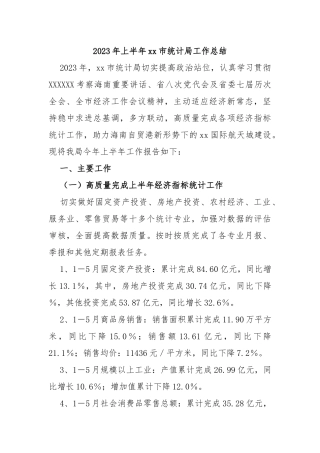 2023年上半年市统计局工作总结