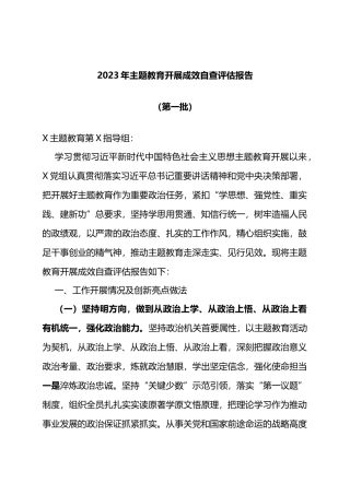2023年主题教育开展成效自查评估报告（第一批）