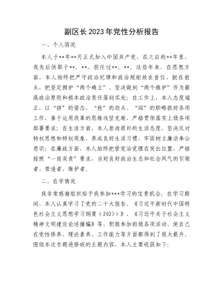 副区长2023年党性分析报告