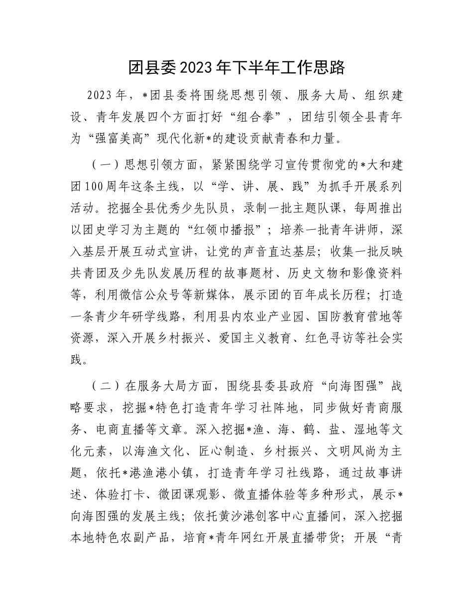 团县委2023年下半年工作思路_第1页