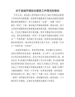 关于县城环境综合提质工作情况的报告