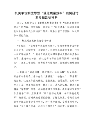 机关单位解放思想“强化质量效率”案例研讨和专题剖析材料
