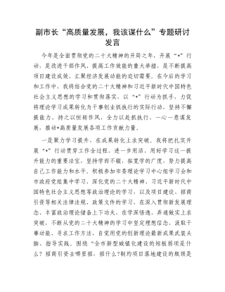 副市长“高质量发展，我该谋什么”专题研讨发言