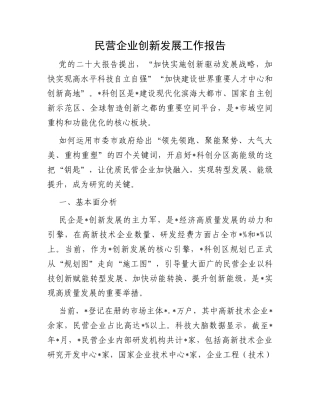 民营企业创新发展工作报告