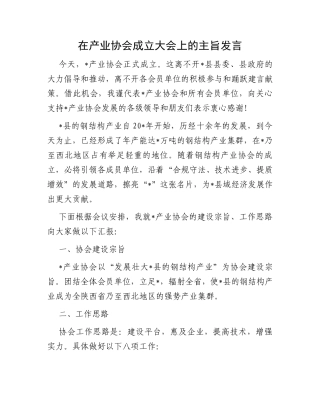 在产业协会成立大会上的主旨发言
