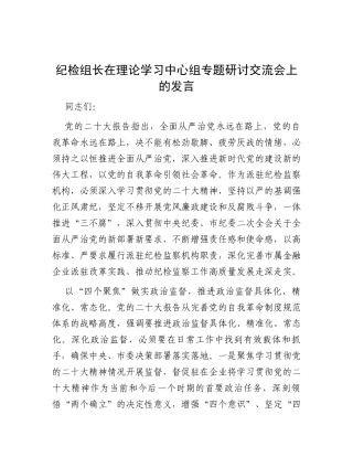 纪检组长在理论学习中心组专题研讨交流会上的发言