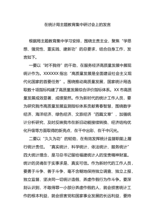 在统计局主题教育集中研讨会上的发言