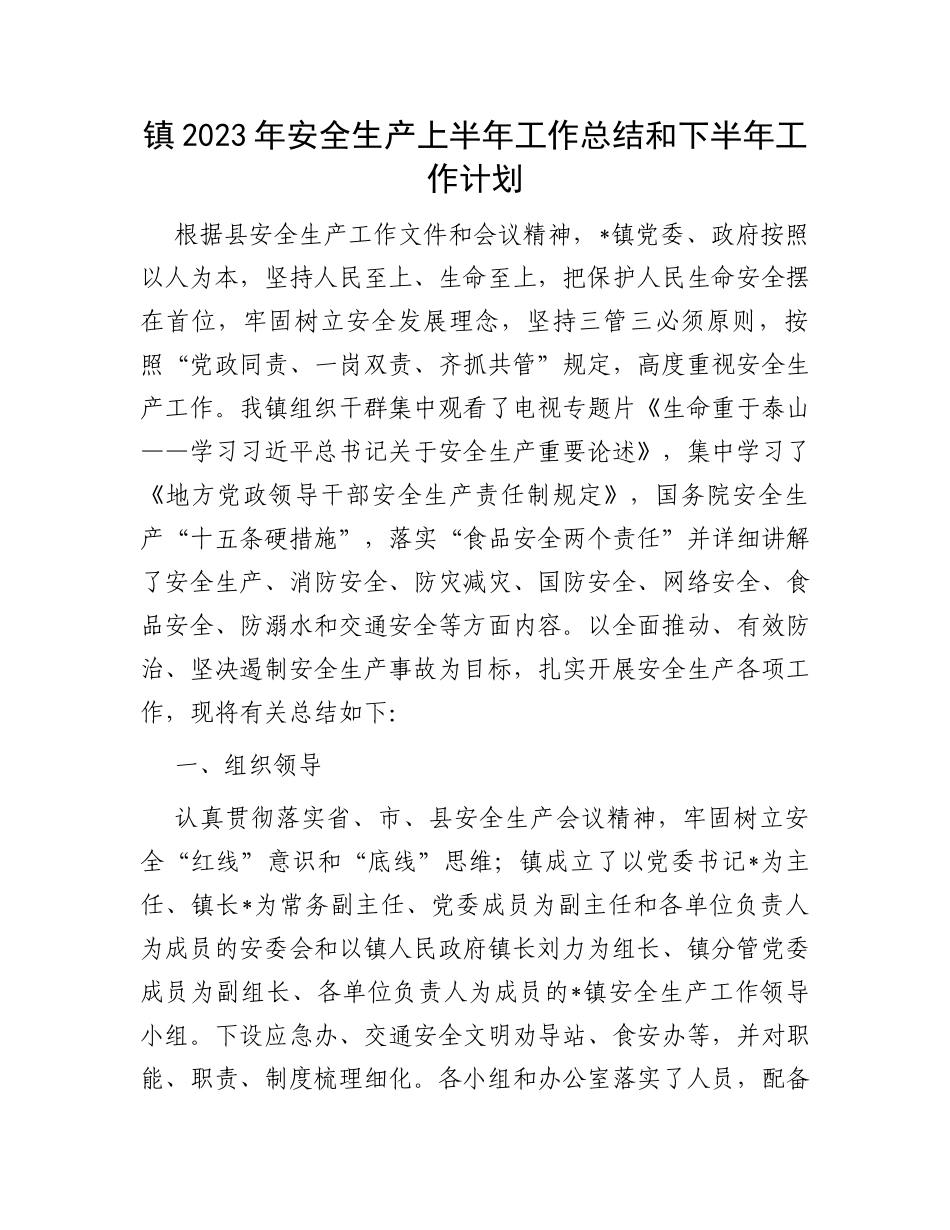 镇2023年安全生产上半年工作总结和下半年工作计划_第1页