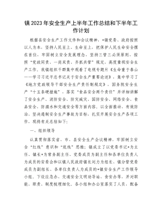 镇2023年安全生产上半年工作总结和下半年工作计划