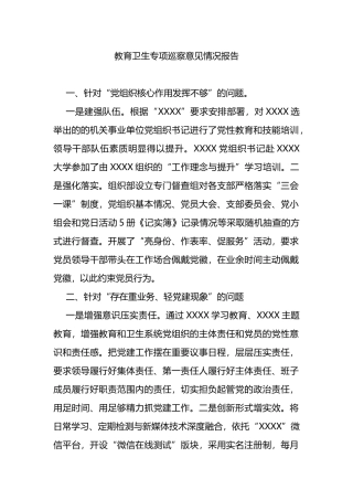 教育卫生专项巡察意见情况报告