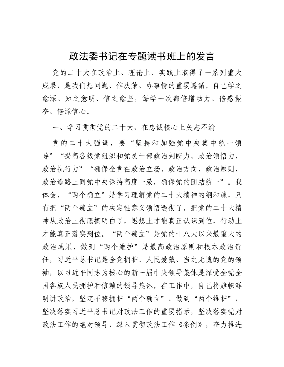 政法委书记在专题读书班上的发言_第1页