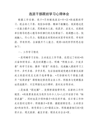 选派干部跟班学习心得体会