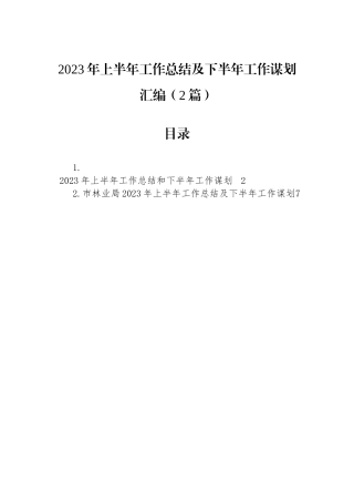2023年上半年工作总结及下半年工作谋划汇编（2篇）