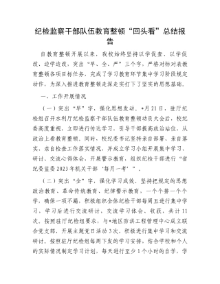 纪检监察干部队伍教育整顿“回头看”总结报告