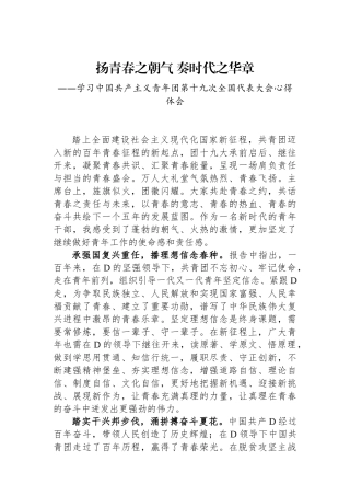 青年干部学习共青团十九大精神心得体会