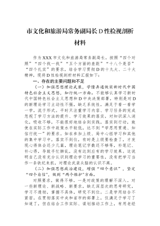 市文化和旅游局常务副局长党性检视剖析材料