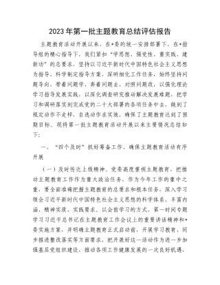 2023年第一批主题教育总结评估报告