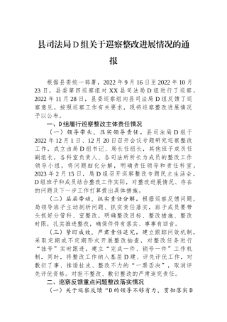 县司法局党组关于巡察整改进展情况的通报
