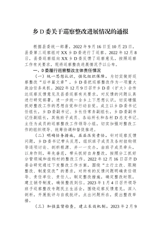 乡党委关于巡察整改进展情况的通报2