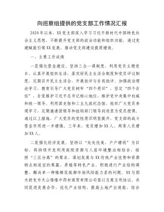 向巡察组提供的党支部工作情况汇报