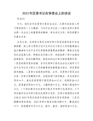 2023年区委书记在审委会上的讲话