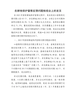 在耕地保护督察反馈问题检视会上的发言