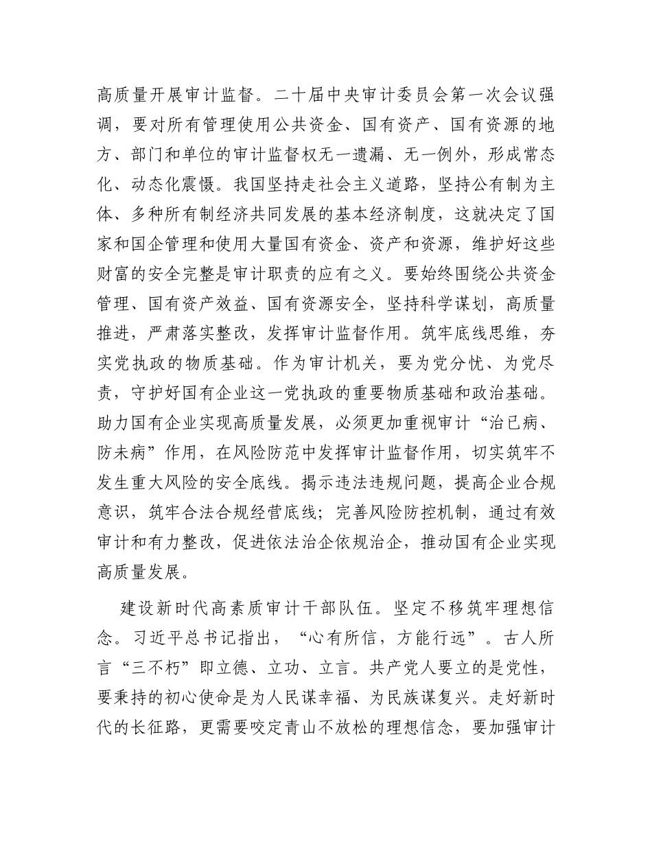 在国有企业审计工作专题研讨交流会上的发言材料_第3页