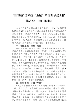 在自然资源系统“五星”党支部创建工作推进会上的汇报材料