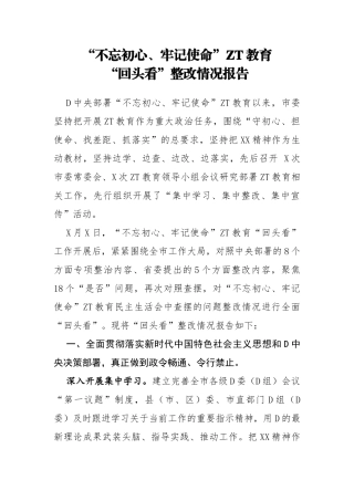 主题教育回头看整改情况报告